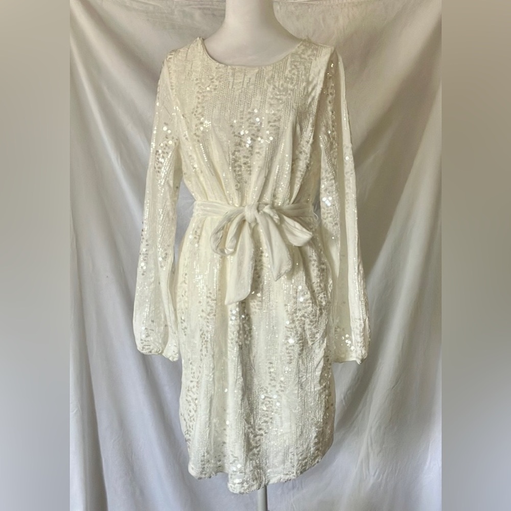 Velvet Sequin Ivory Breeze Bishop Sleeve Midi Dress